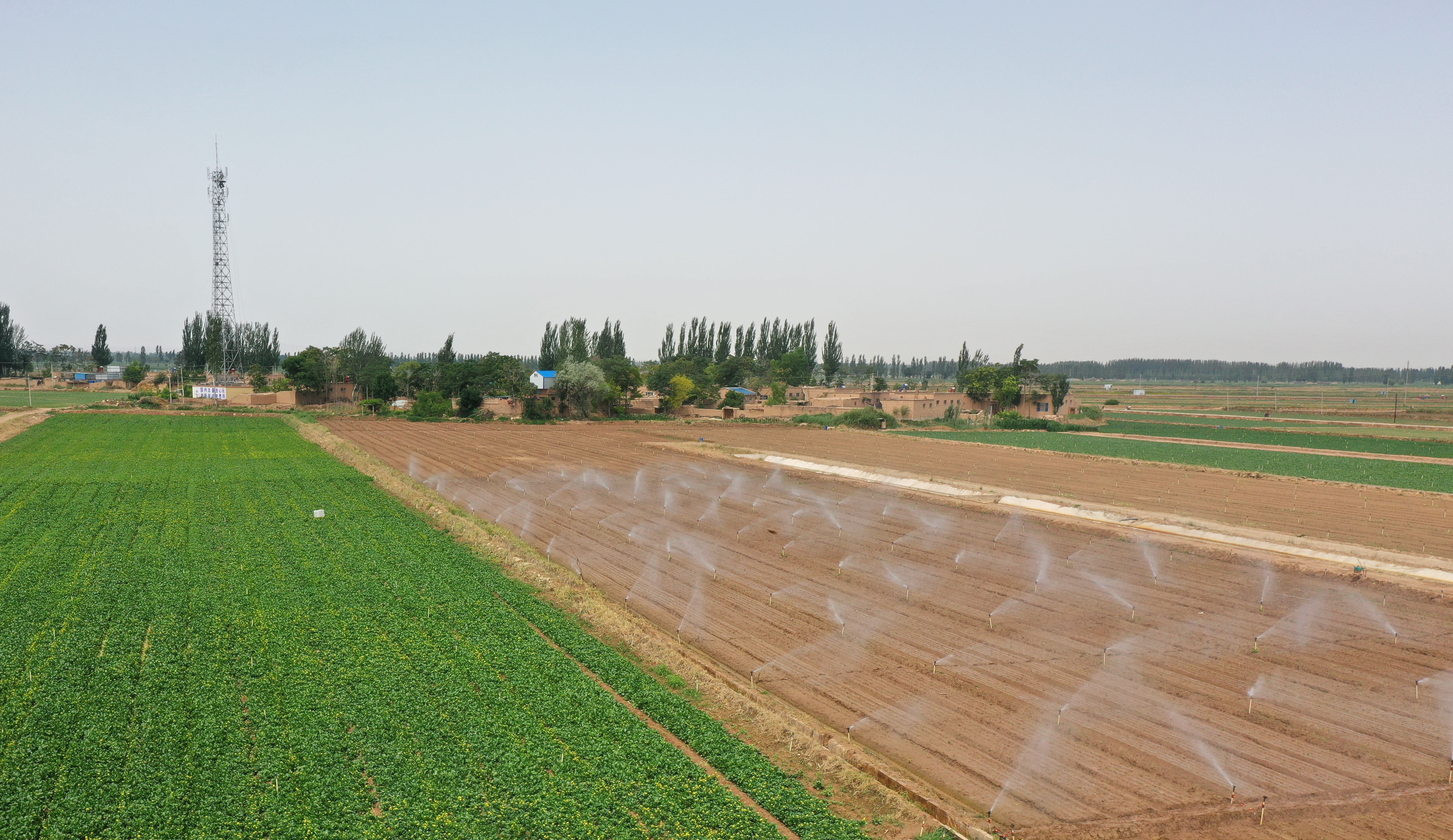 ��ˮ�����Ƶ2