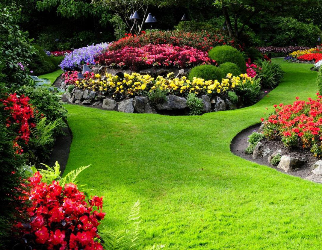 ��ƷͼƬ����5