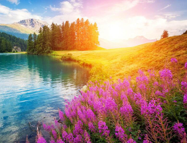 ��ƷͼƬ����6